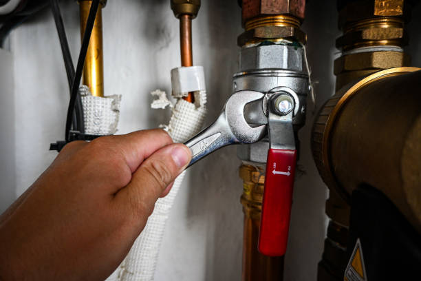 Best Local Plumber Services  in Malone, FL